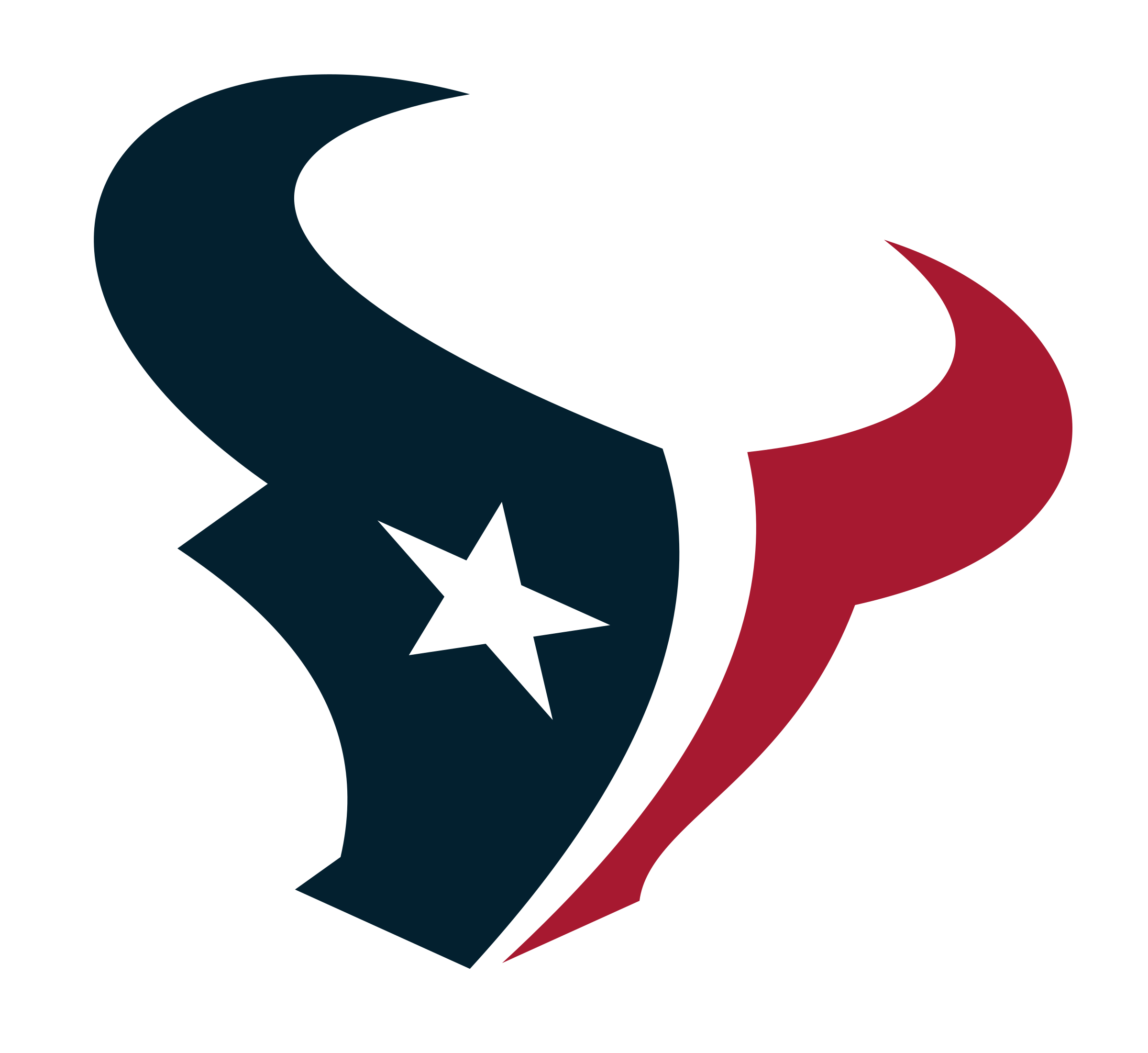 Houston Texans